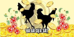 Đá Gà Cựa Sắt