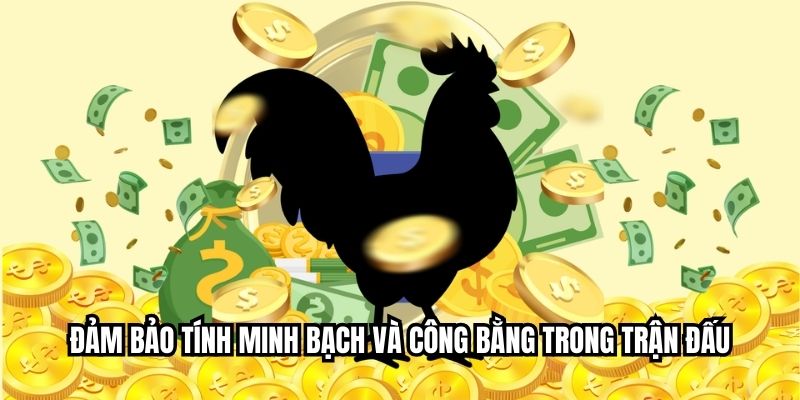 Đảm bảo tính minh bạch và công bằng trong trận đấu