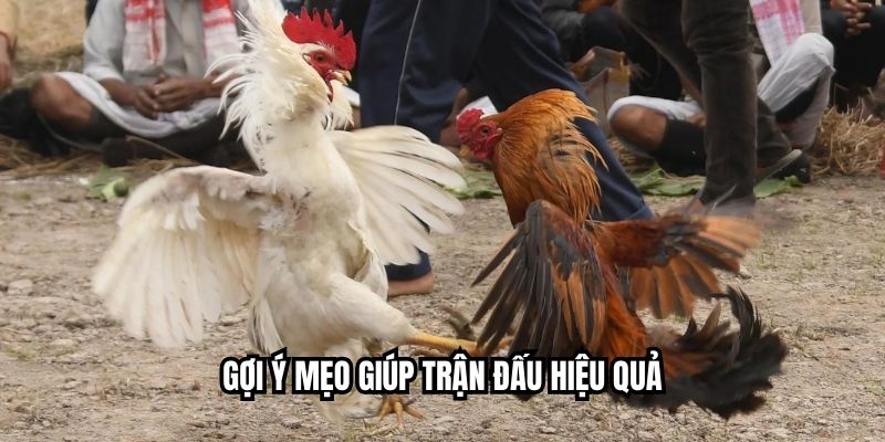 Gợi ý mẹo giúp trận đấu hiệu quả